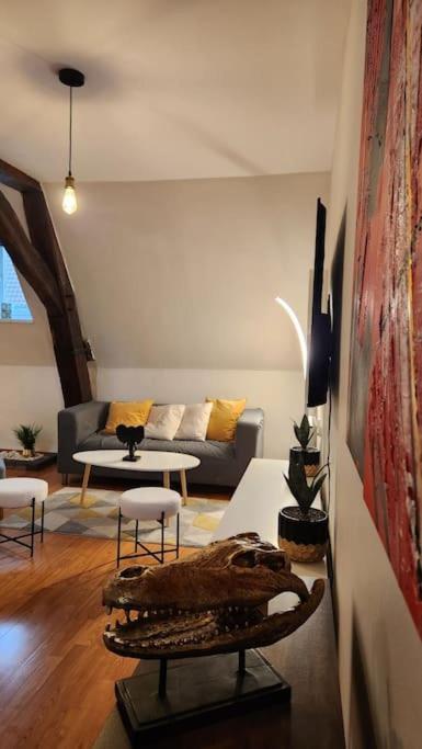 Grand Duplex Du Beffroi *